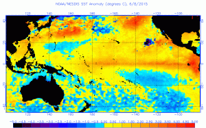 Pacific Ocean Sea Surface Temp Anomalies (NOAA 6_8_2015)