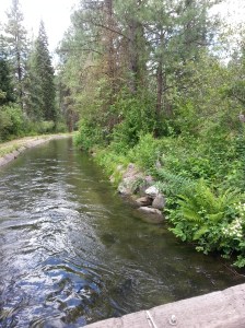 IPID Ditch 4 (6-18-15)