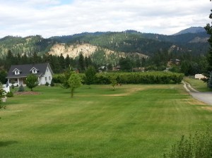 Ski Hill Lawn 2 (6-18-15)